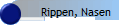 Rippen, Nasen 