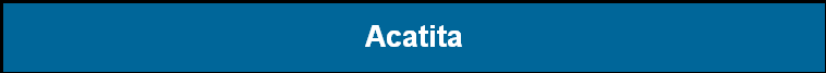 Acatita