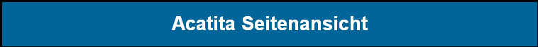 Acatita Seitenansicht